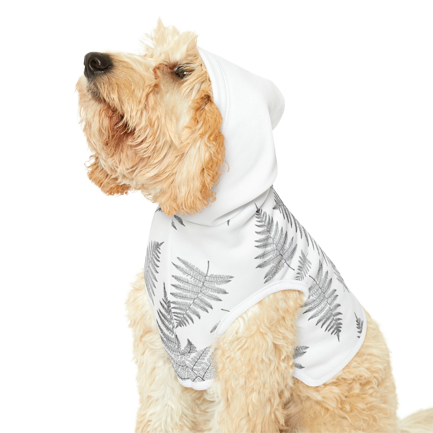 Fern Illustration - Pet Hoodie