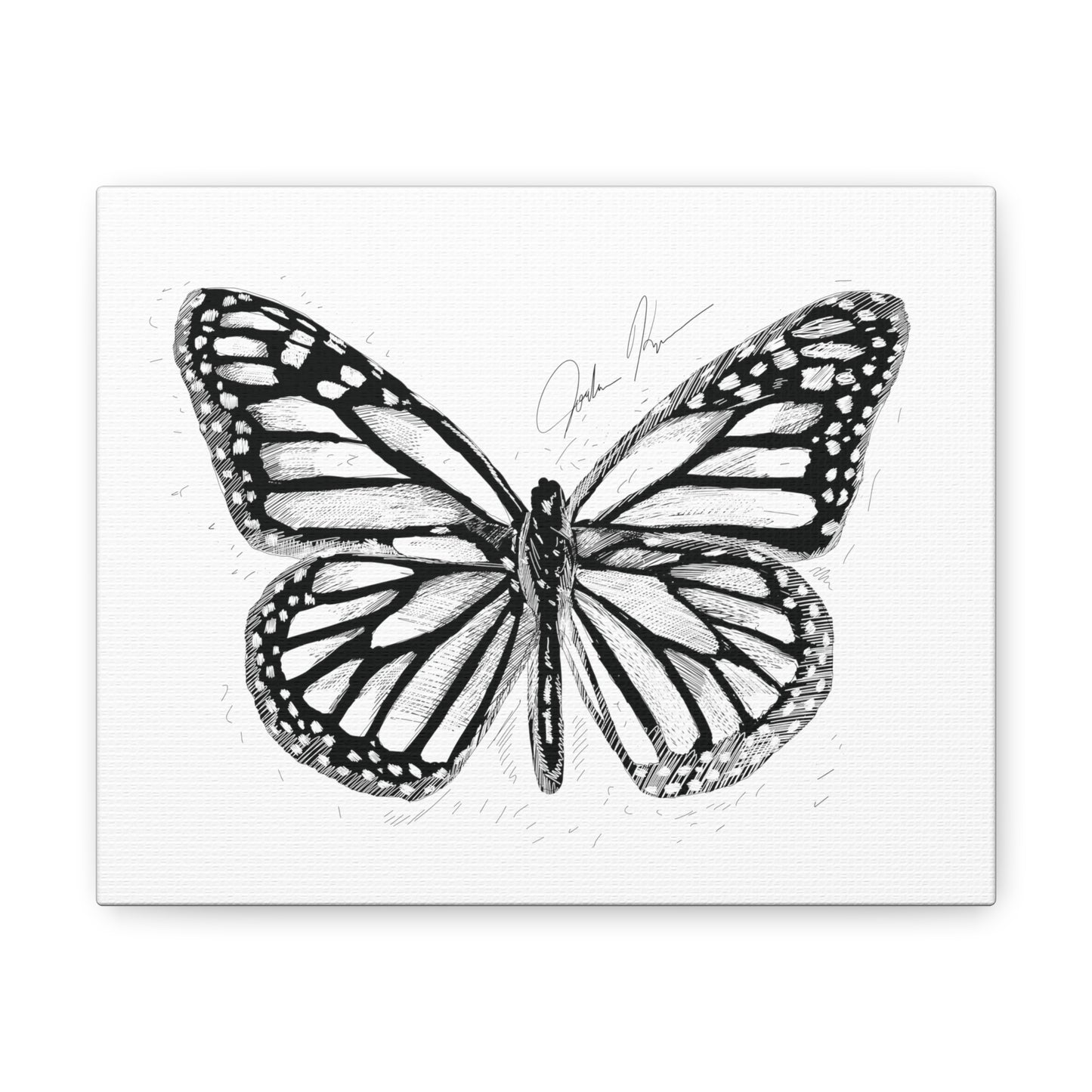 🦋 Butterfly Illustration - Canvas Gallery Wrap