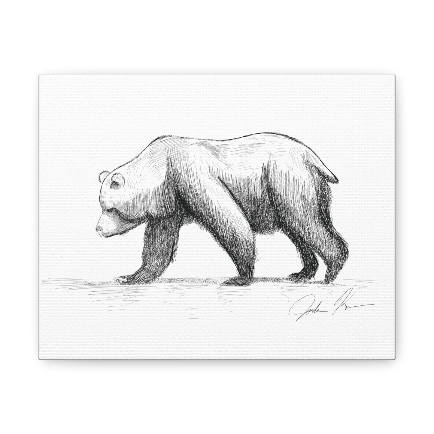 Bear Illustration - Canvas Gallery Wrap