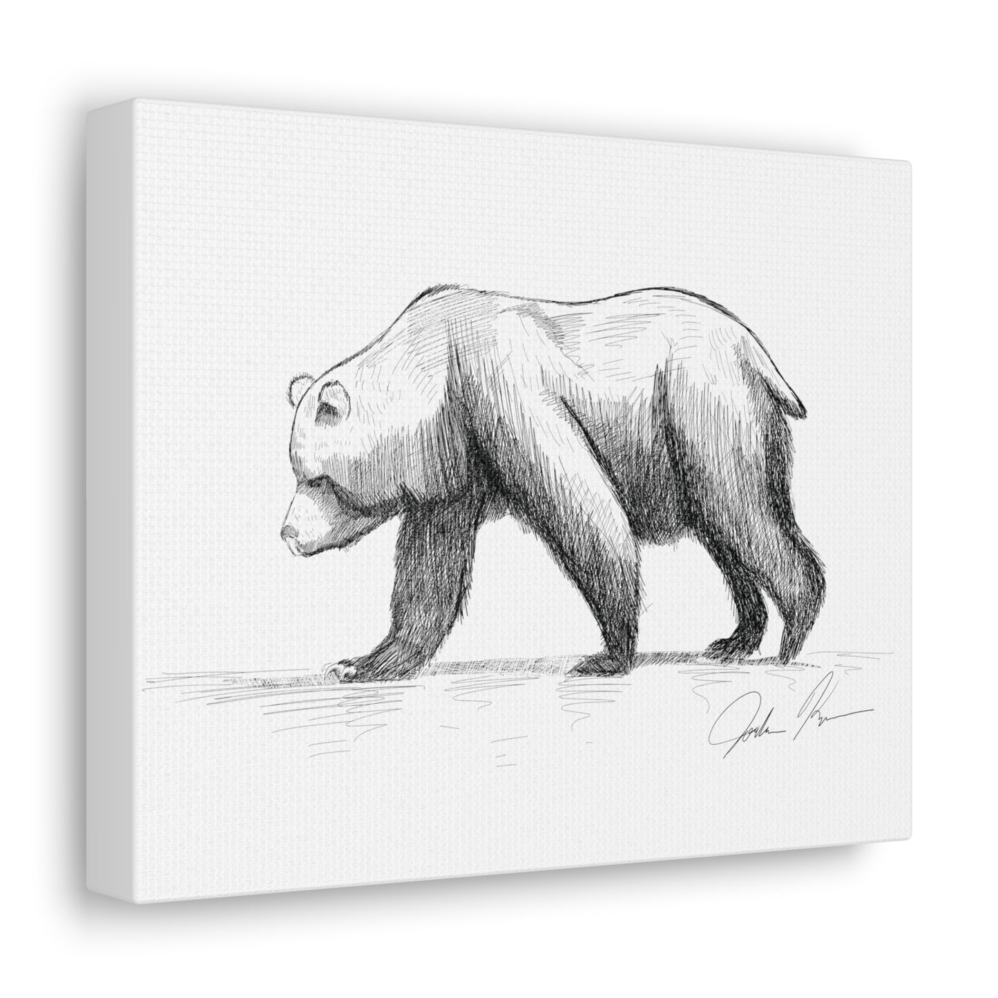 Bear Illustration - Canvas Gallery Wrap