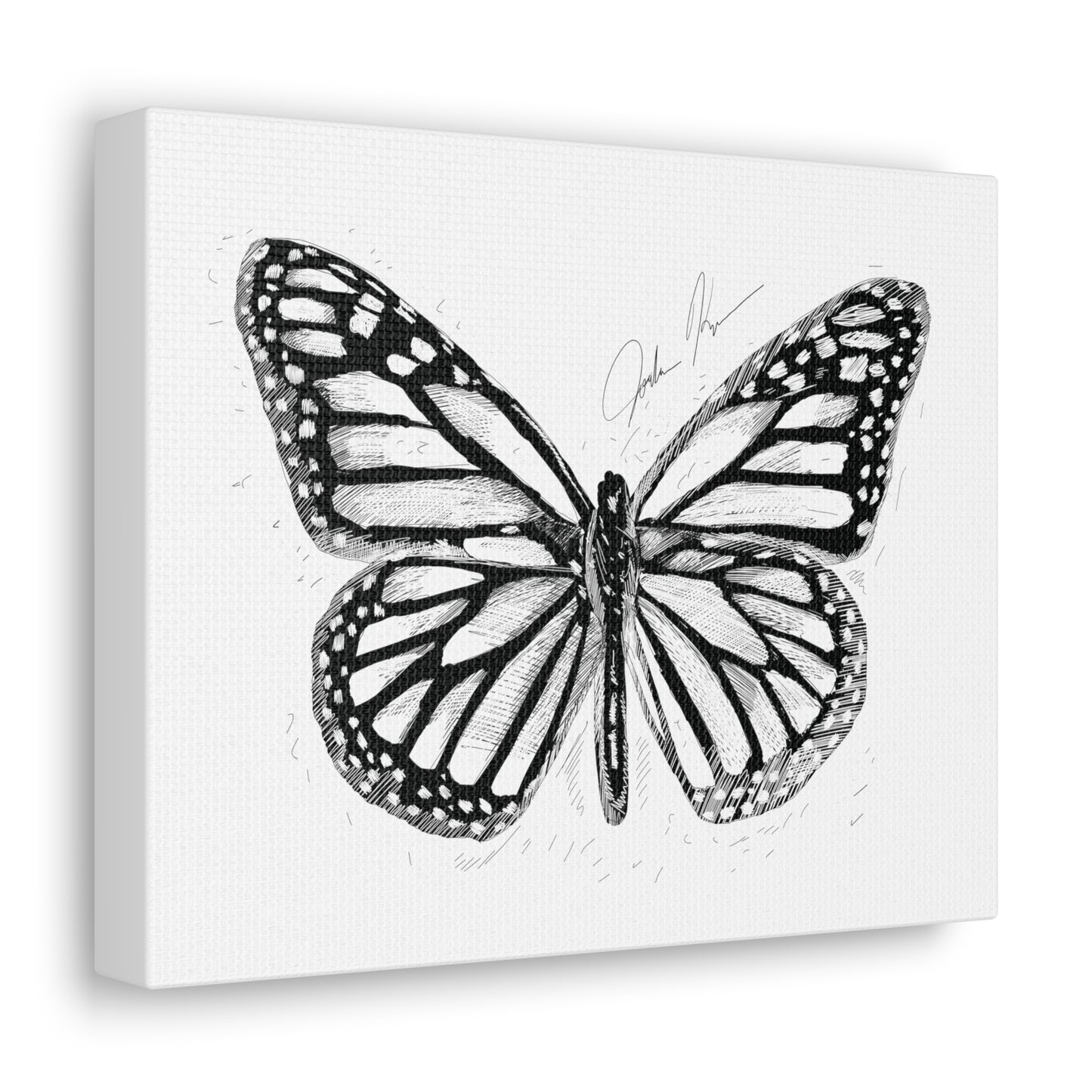 🦋 Butterfly Illustration - Canvas Gallery Wrap