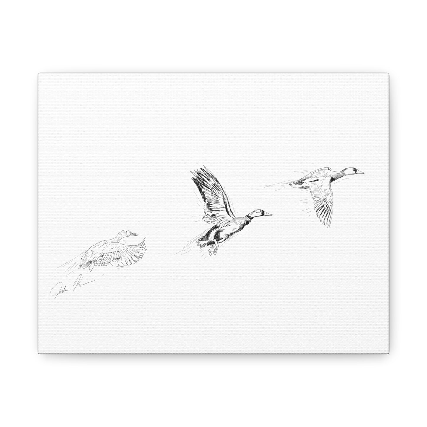 Flying Ducks Illustration - Canvas Gallery Wrap