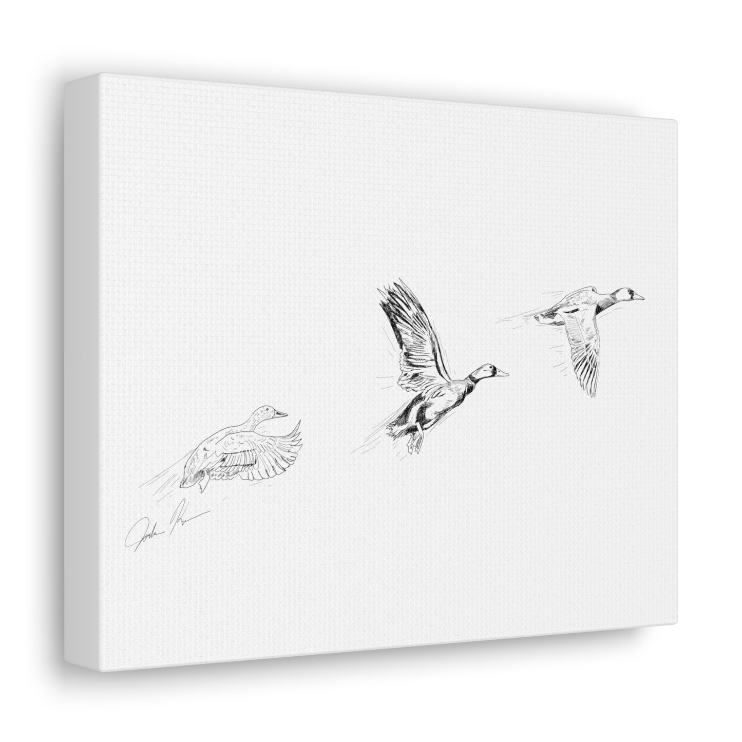 Flying Ducks Illustration - Canvas Gallery Wrap