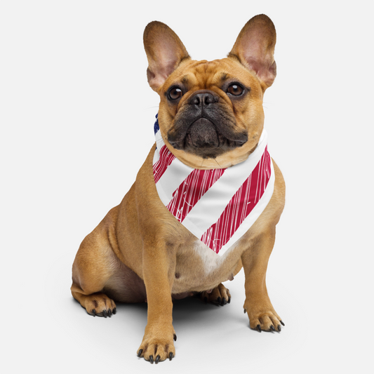 🇺🇸 American Flag Graphic Bandana