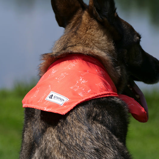 Whitetail Deer Pattern Bandana - Match Your Pet